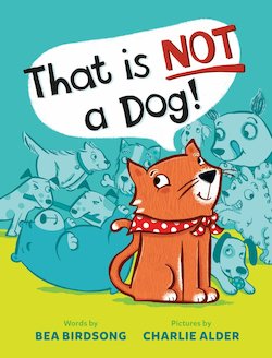 not a dog